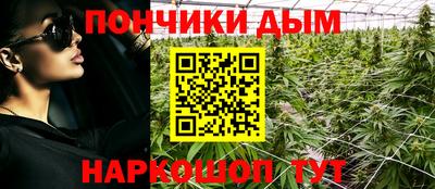 ПСИЛОЦИБИНОВЫЕ ГРИБЫ Нальчик