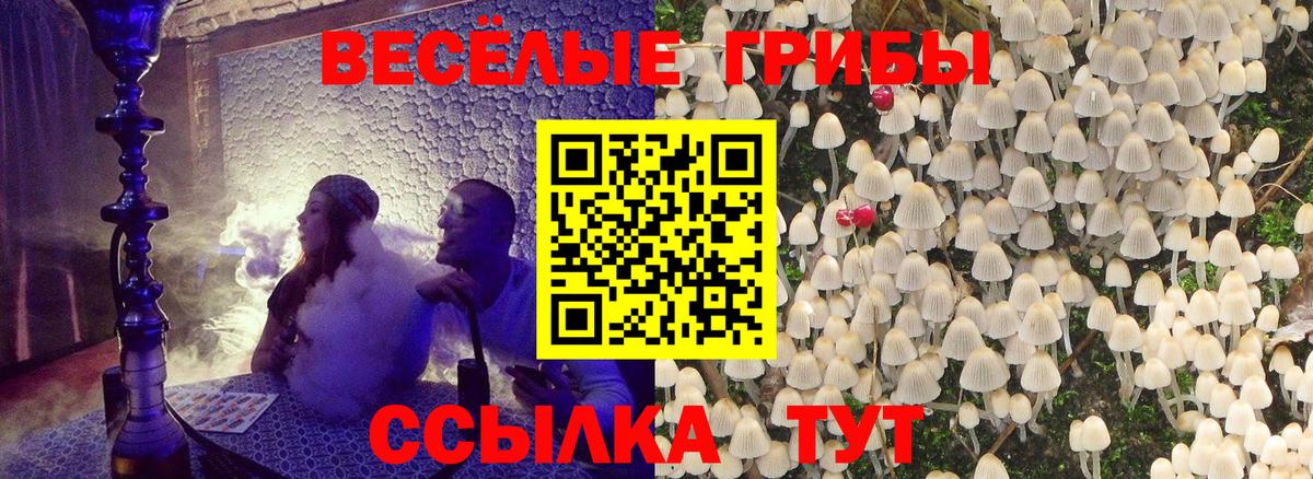 Псилоцибиновые грибы прущие грибы Сегежа