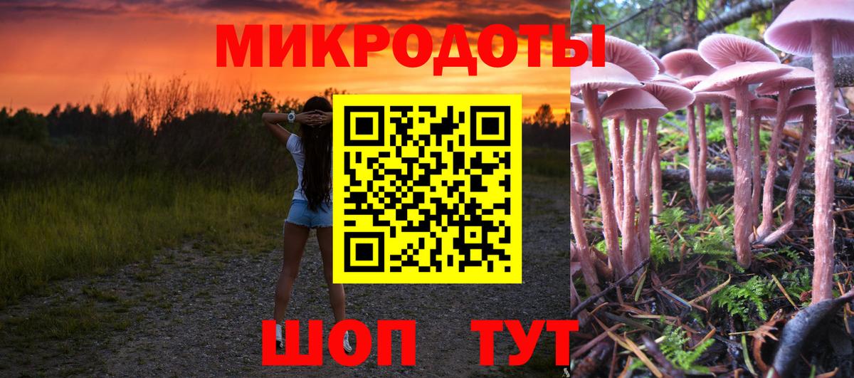 Сегежа  Псилоцибиновые грибы мицелий  Вход с VPN  Псилоцибиновые грибы мицелий 